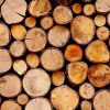 Sawn timber logs